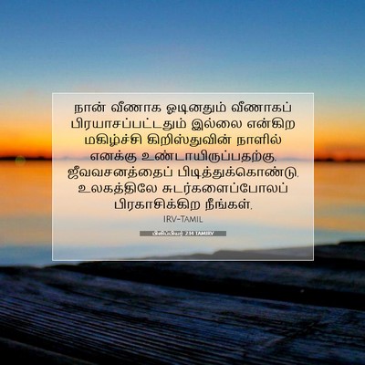 Picture 07 - பிலிப்பியர் 2:14 TAMIRV - நான் வீணாக - Bible Verse Picture