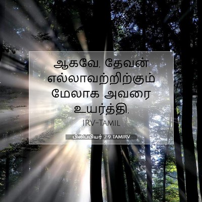 Picture 07 - பிலிப்பியர் 2:9 TAMIRV - ஆகவே, தேவன் - Bible Verse Picture