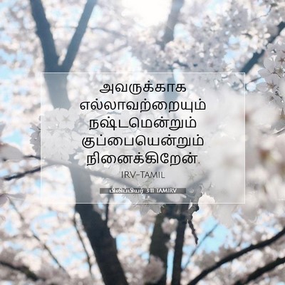 Picture 07 - பிலிப்பியர் 3:11 TAMIRV - அவருக்காக - Bible Verse Picture