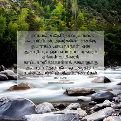 Picture 07 - புலம்பல் 1:19 TAMIRV - என்னைச் - Bible Verse Picture