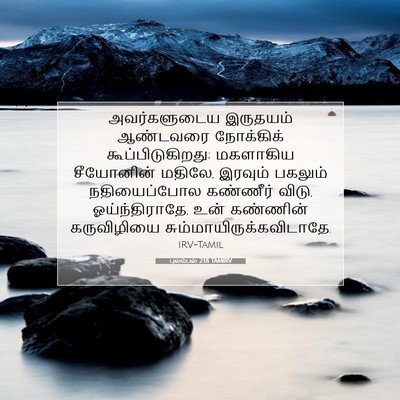 Picture 07 - புலம்பல் 2:18 TAMIRV - அவர்களுடைய - Bible Verse Picture