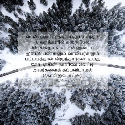 Picture 07 - புலம்பல் 2:21 TAMIRV - வாலிபனும் - Bible Verse Picture