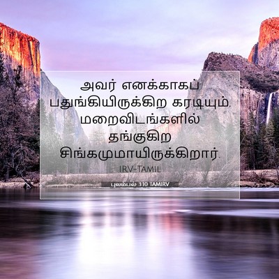 Picture 07 - புலம்பல் 3:10 TAMIRV - அவர் எனக்காகப் - Bible Verse Picture