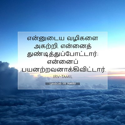 Picture 07 - புலம்பல் 3:11 TAMIRV - என்னுடைய வழிகளை - Bible Verse Picture