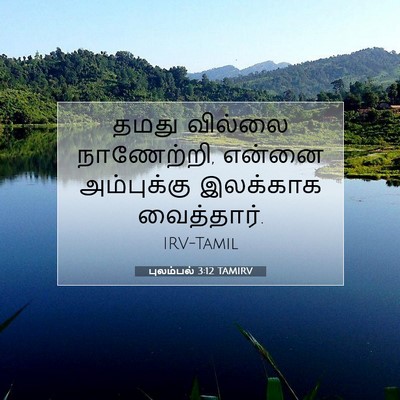 Picture 07 - புலம்பல் 3:12 TAMIRV - தமது வில்லை - Bible Verse Picture