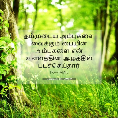 Picture 07 - புலம்பல் 3:13 TAMIRV - தம்முடைய அம்புகளை - Bible Verse Picture