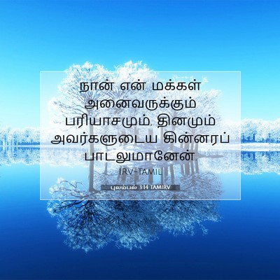 Picture 07 - புலம்பல் 3:14 TAMIRV - நான் என் மக்கள் - Bible Verse Picture
