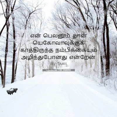 Picture 07 - புலம்பல் 3:18 TAMIRV - என் பெலனும், நான் - Bible Verse Picture