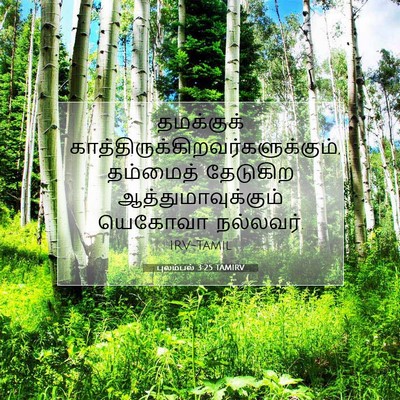 Picture 07 - புலம்பல் 3:25 TAMIRV - தமக்குக் - Bible Verse Picture