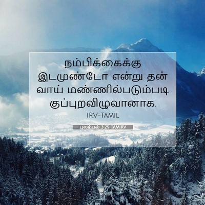Picture 07 - புலம்பல் 3:29 TAMIRV - நம்பிக்கைக்கு - Bible Verse Picture