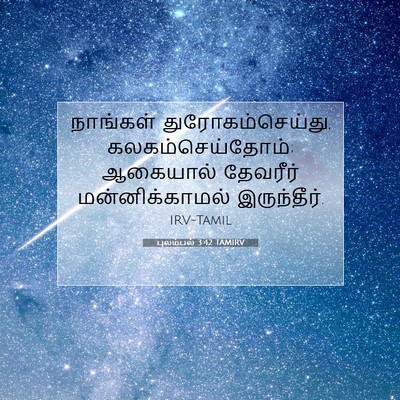 Picture 07 - புலம்பல் 3:42 TAMIRV - நாங்கள் - Bible Verse Picture
