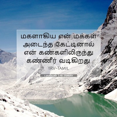 Picture 07 - புலம்பல் 3:48 TAMIRV - மகளாகிய என் - Bible Verse Picture