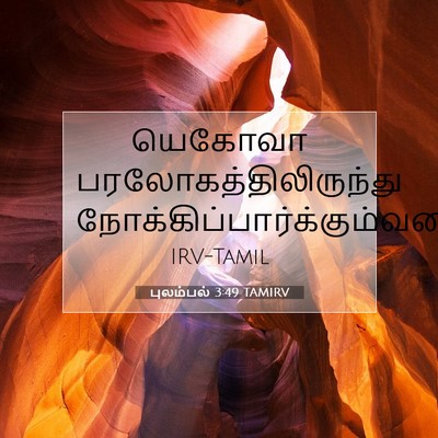 Picture 07 - புலம்பல் 3:49 TAMIRV - யெகோவா - Bible Verse Picture