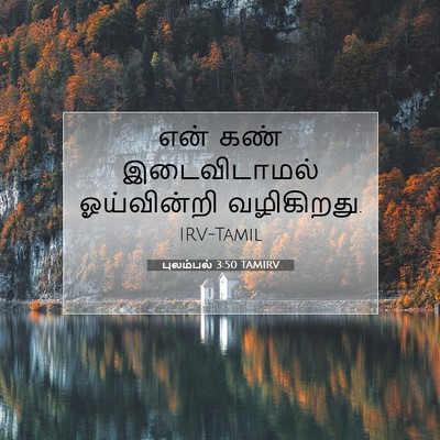 Picture 07 - புலம்பல் 3:50 TAMIRV - என் கண் - Bible Verse Picture