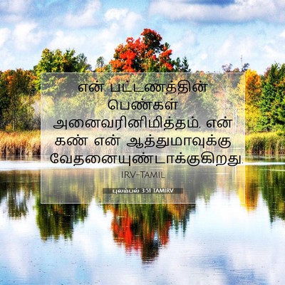 Picture 07 - புலம்பல் 3:51 TAMIRV - என் பட்டணத்தின் - Bible Verse Picture
