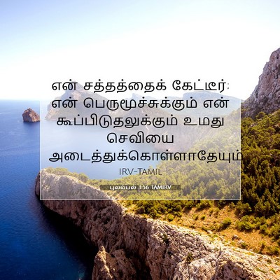 Picture 07 - புலம்பல் 3:56 TAMIRV - என் சத்தத்தைக் - Bible Verse Picture