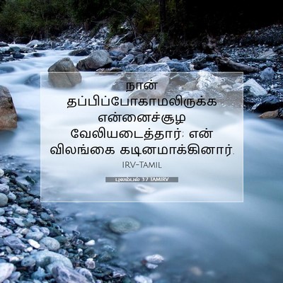 Picture 07 - புலம்பல் 3:7 TAMIRV - நான் - Bible Verse Picture