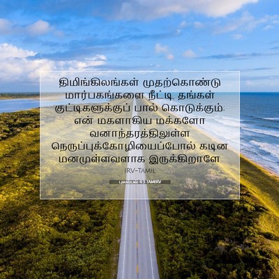 Picture 07 - புலம்பல் 4:3 TAMIRV - திமிங்கிலங்கள் - Bible Verse Picture