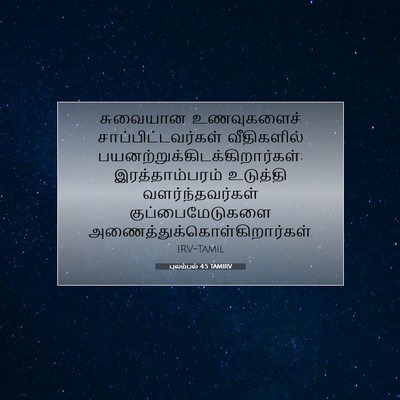 Picture 07 - புலம்பல் 4:5 TAMIRV - சுவையான உணவுகளைச் - Bible Verse Picture