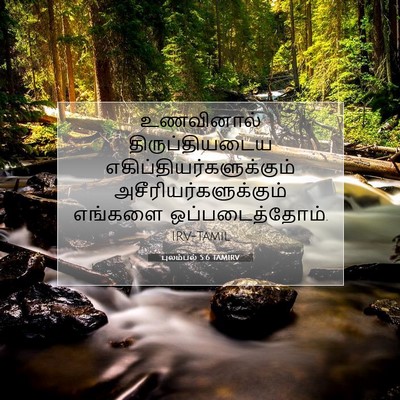 Picture 07 - புலம்பல் 5:6 TAMIRV - உணவினால் - Bible Verse Picture