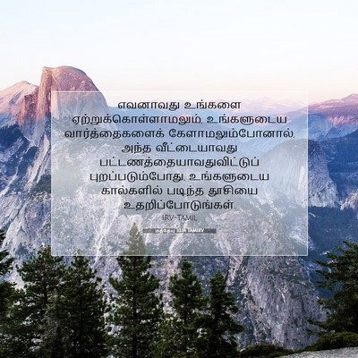 Picture 07 - மத்தேயு 10:14 TAMIRV - எவனாவது உங்களை - Bible Verse Picture