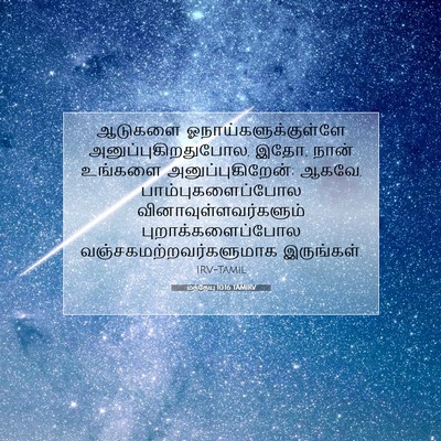 Picture 07 - மத்தேயு 10:16 TAMIRV - ஆடுகளை - Bible Verse Picture