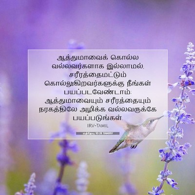 Picture 07 - மத்தேயு 10:28 TAMIRV - ஆத்துமாவைக் கொல்ல - Bible Verse Picture