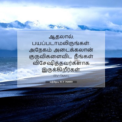 Picture 07 - மத்தேயு 10:31 TAMIRV - ஆதலால், - Bible Verse Picture
