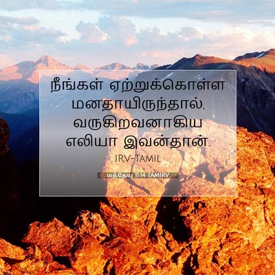 Picture 07 - மத்தேயு 11:14 TAMIRV - நீங்கள் - Bible Verse Picture