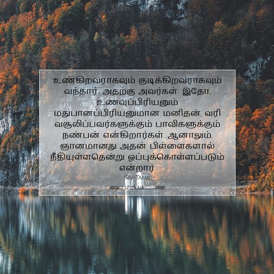 Picture 07 - மத்தேயு 11:19 TAMIRV - உண்கிறவராகவும் - Bible Verse Picture