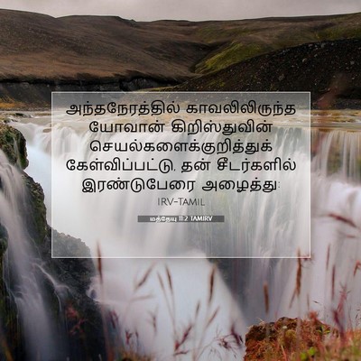 Picture 07 - மத்தேயு 11:2 TAMIRV - அந்தநேரத்தில் - Bible Verse Picture
