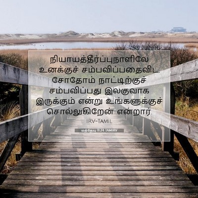 Picture 07 - மத்தேயு 11:24 TAMIRV -  - Bible Verse Picture