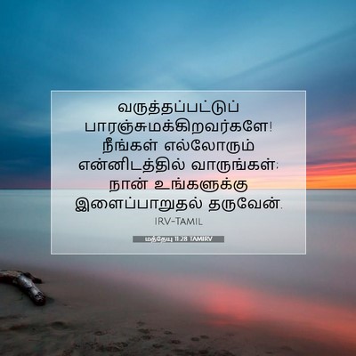 Picture 07 - மத்தேயு 11:28 TAMIRV - வருத்தப்பட்டுப் - Bible Verse Picture