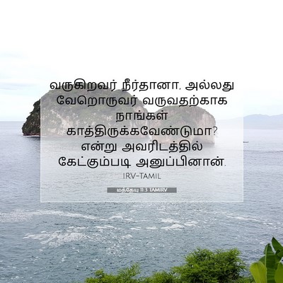 Picture 07 - மத்தேயு 11:3 TAMIRV - வருகிறவர் - Bible Verse Picture
