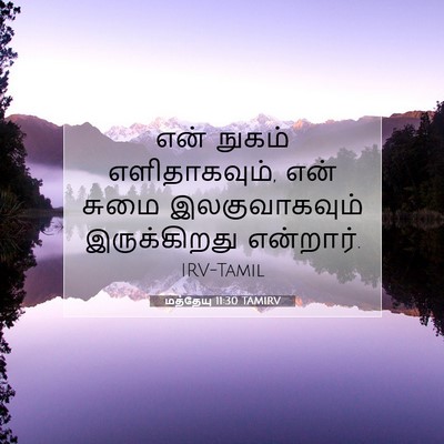Picture 07 - மத்தேயு 11:30 TAMIRV - என் நுகம் - Bible Verse Picture