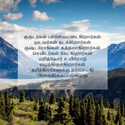 Picture 07 - மத்தேயு 11:5 TAMIRV - குருடர்கள் - Bible Verse Picture