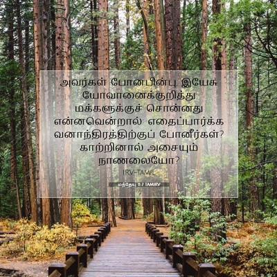 Picture 07 - மத்தேயு 11:7 TAMIRV - அவர்கள் - Bible Verse Picture
