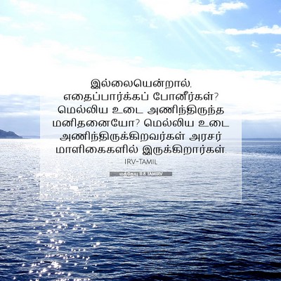 Picture 07 - மத்தேயு 11:8 TAMIRV - இல்லையென்றால், - Bible Verse Picture