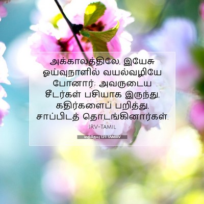 Picture 07 - மத்தேயு 12:1 TAMIRV - அக்காலத்திலே, - Bible Verse Picture
