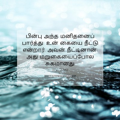 Picture 07 - மத்தேயு 12:13 TAMIRV - பின்பு அந்த - Bible Verse Picture