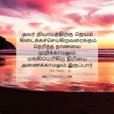 Picture 07 - மத்தேயு 12:20 TAMIRV - அவர் - Bible Verse Picture