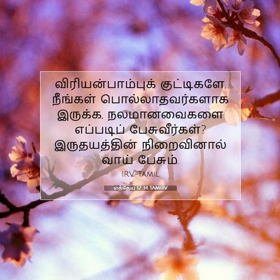 Picture 07 - மத்தேயு 12:34 TAMIRV - விரியன்பாம்புக் - Bible Verse Picture