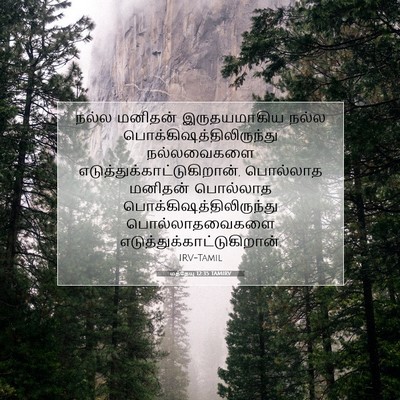 Picture 07 - மத்தேயு 12:35 TAMIRV - நல்ல மனிதன் - Bible Verse Picture