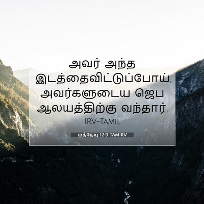 Picture 07 - மத்தேயு 12:9 TAMIRV - அவர் அந்த - Bible Verse Picture
