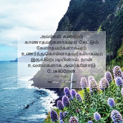 Picture 07 - மத்தேயு 13:13 TAMIRV - அவர்கள் கண்டும் - Bible Verse Picture
