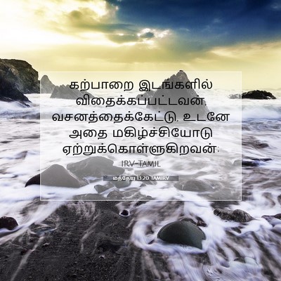 Picture 07 - மத்தேயு 13:20 TAMIRV - கற்பாறை இடங்களில் - Bible Verse Picture