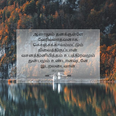 Picture 07 - மத்தேயு 13:21 TAMIRV - ஆனாலும் - Bible Verse Picture