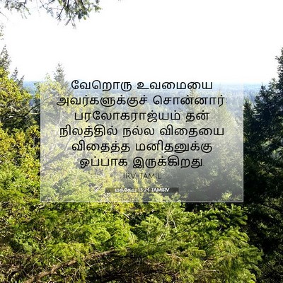 Picture 07 - மத்தேயு 13:24 TAMIRV - வேறொரு உவமையை - Bible Verse Picture