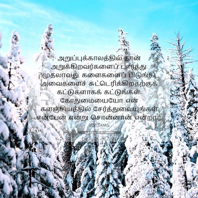 Picture 07 - மத்தேயு 13:30 TAMIRV -  - Bible Verse Picture