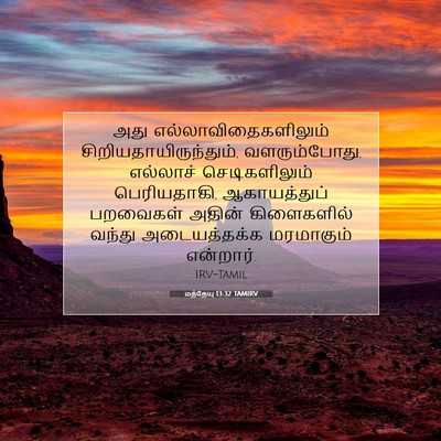 Picture 07 - மத்தேயு 13:32 TAMIRV - அது - Bible Verse Picture